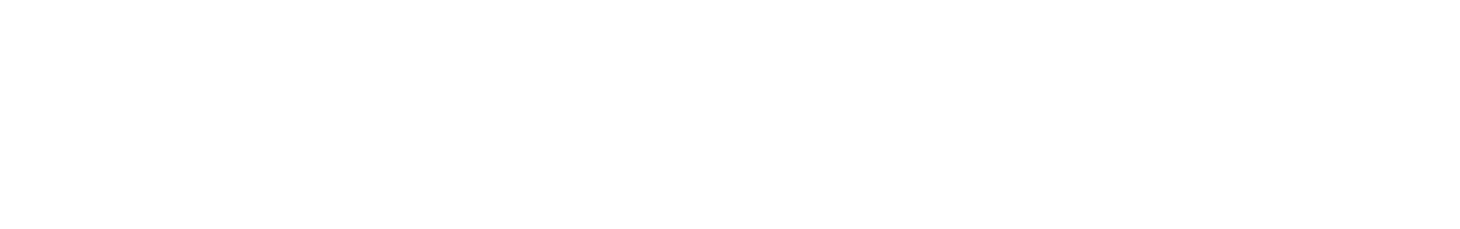 Datamole Logo